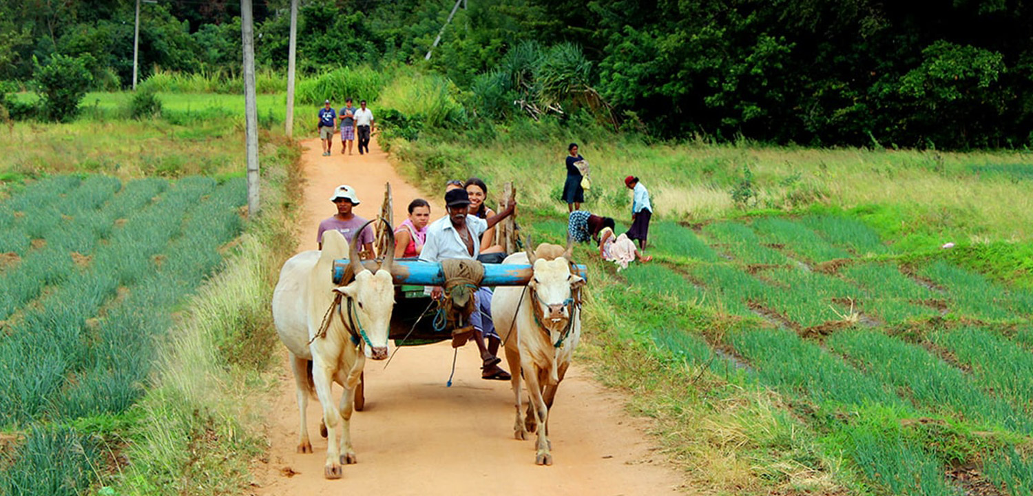 Sri Lanka: écotourisme
