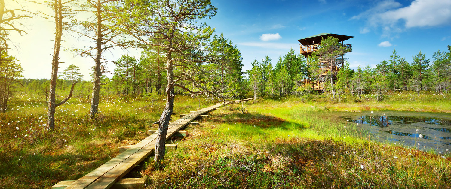 Pays baltes : Parc de Lahemaa (Estonie)