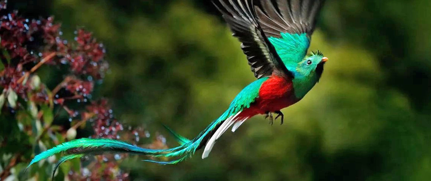 Balades Nieul Loisirs : le Guatemala - Ranchitos del Quetzal