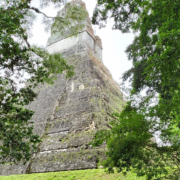Balades Nieul Loisirs - Guatemala (01/2024): Tikal