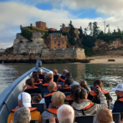 Balades Nieul Loisirs - Voyage en Algarve au Portugal (10/2025) : Portimao Balades Nieul Loisirs - Voyage en Algarve au Portugal (10/2025) : Portimao