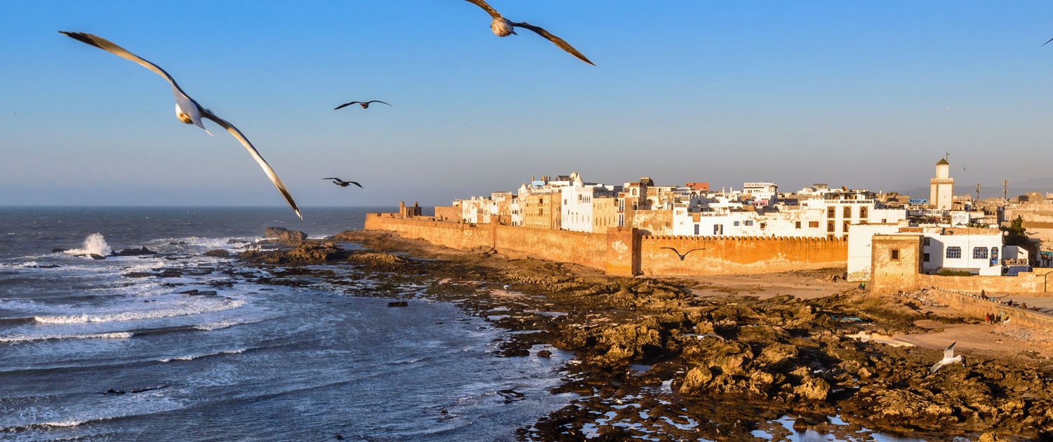 Maroc - Essaouira : côte atlantique