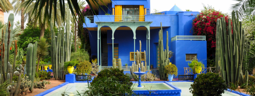Maroc - Marrakech : jardin Majorelle