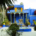 Maroc - Marrakech : jardin Majorelle